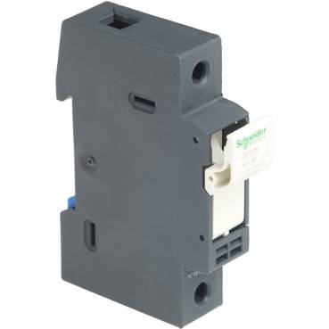 Schneider Electric - DF101 - TeSyS fuse-disconnector - 1P - 25A - fuse size 10 x 38 mm