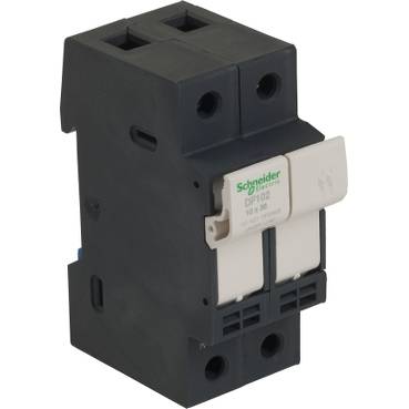 Schneider Electric - DF102 - TeSyS fuse-disconnector 2P 32A - fuse size 10 x 38 mm