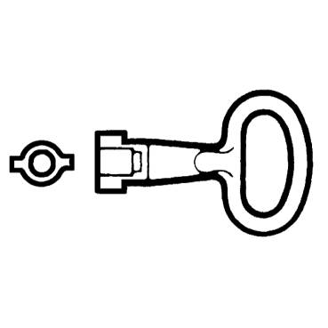 Schneider Electric - NSYLDB5 - Metal key for 5mm double bar insert