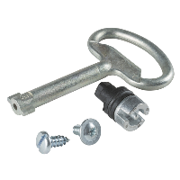 Schneider Electric - NSYTDBCRN - Double bar lock insert 3mm (standard), material: zamac.