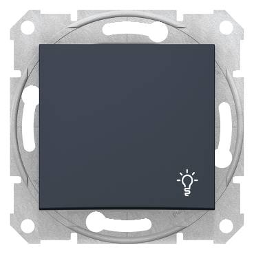 Schneider Electric - SDN0900170 - Sedna - 1pole pushbutton - 10A light symbol, without frame graphite