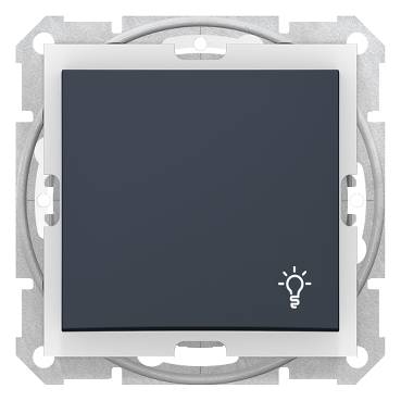 Schneider Electric - SDN0900370 - Sedna - 1pole pushbutton - 10A light symbol, IP44 without frame graphite