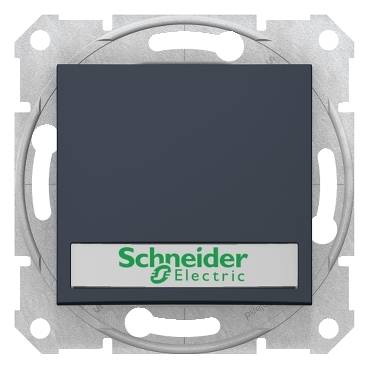 Schneider Electric - SDN1600370 - Sedna - 1pole pushbutton - 10A label, locator light, without frame graphite